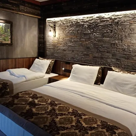 Hotel New Gate 3*
